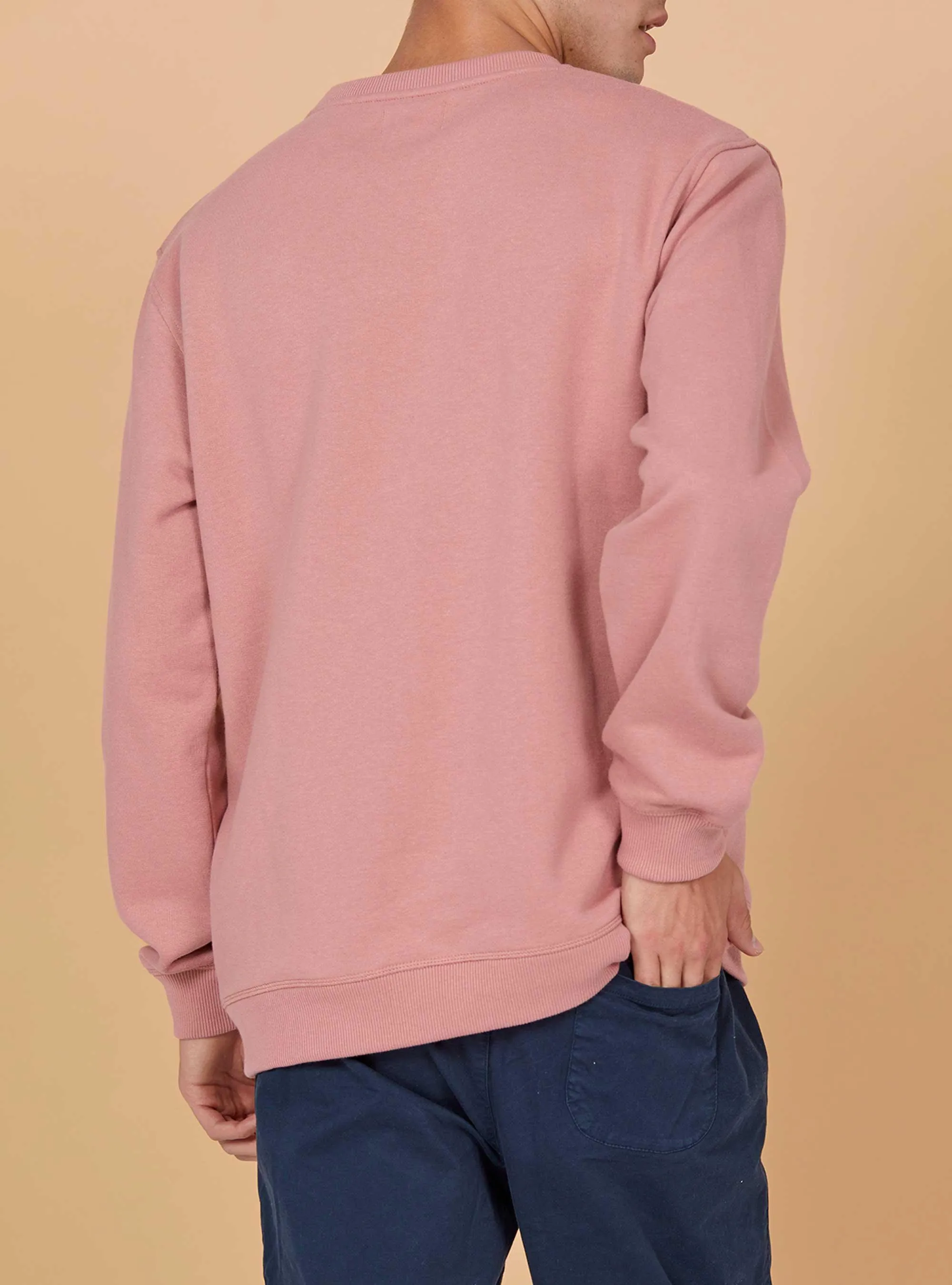 COLOR BLOCK REGULAR SWEATSHIRT