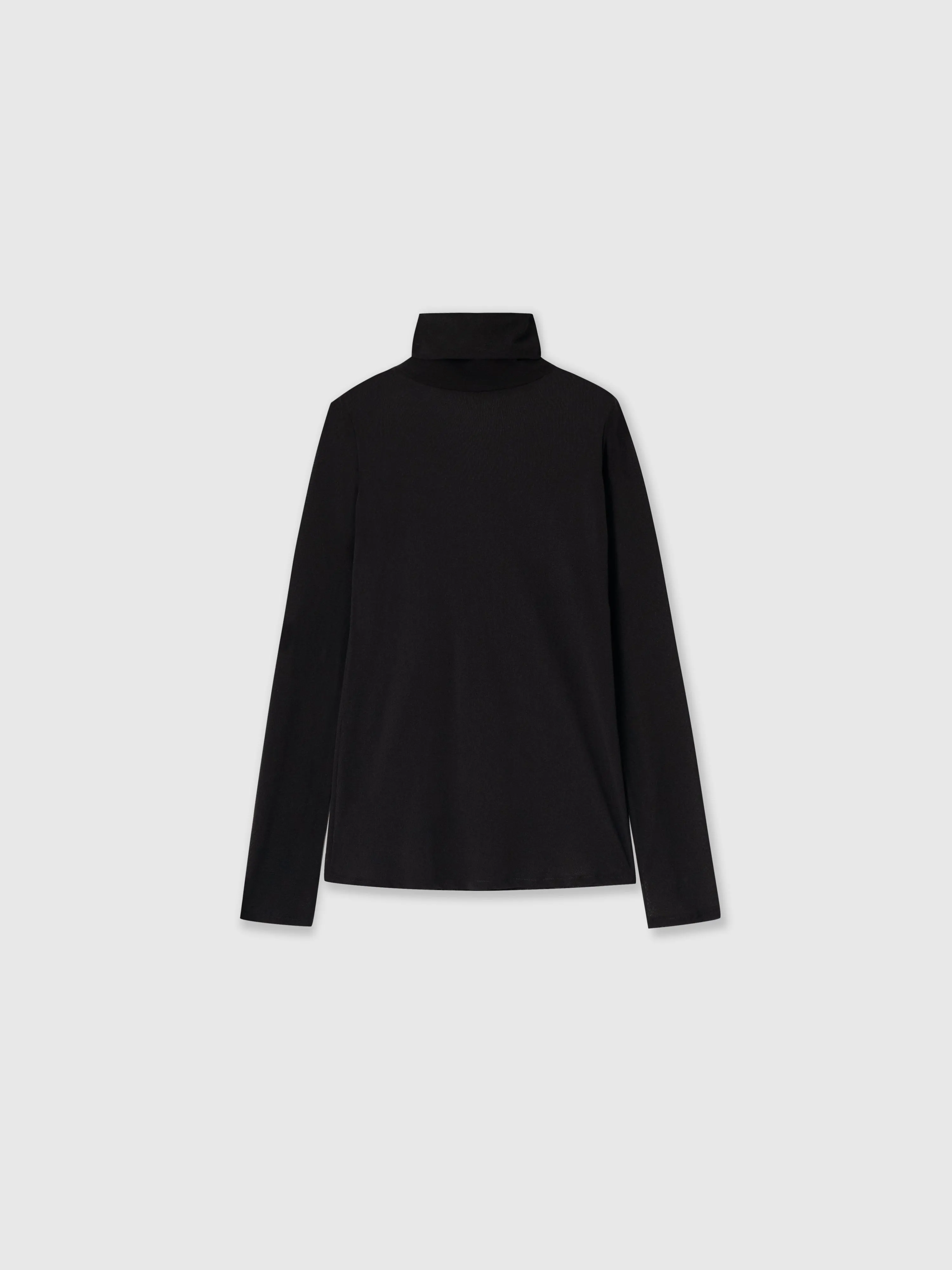Fitted sheer turtleneck