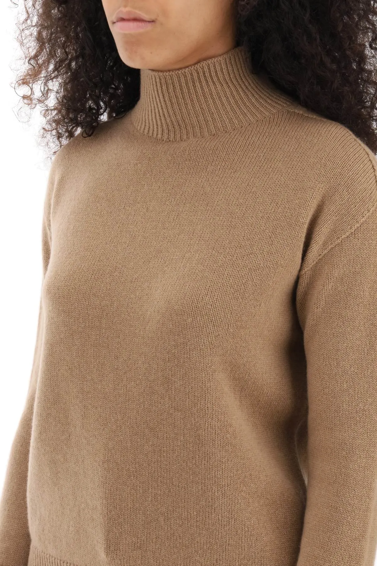 's Max Mara 'tahiti' Turtleneck Sweater In Cashmere (Size - Xs)